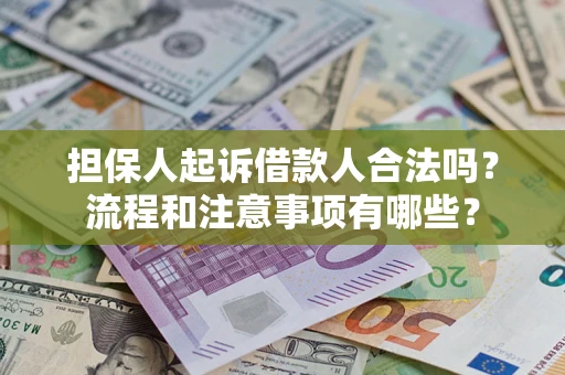 北京担保人起诉借款人合法吗？流程和注意事项有哪些？