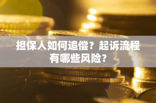 北京担保人如何追偿？起诉流程有哪些风险？