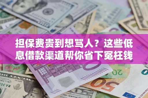 北京担保费贵到想骂人？这些低息借款渠道帮你省下冤枉钱