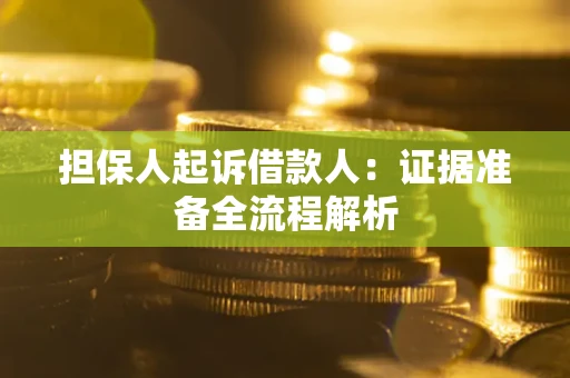 北京担保人起诉借款人：证据准备全流程解析