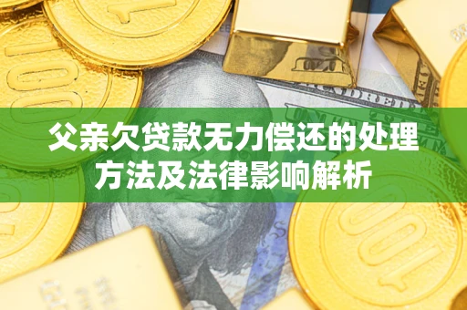 北京父亲欠贷款无力偿还的处理方法及法律影响解析